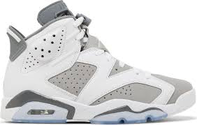 Jordan Cool Grey 6